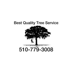 Best Quality Tree Service